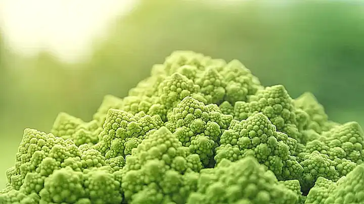 2. ¿Es posible encontrar opciones vegetarianas o veganas en el camino?