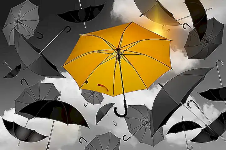 5. Oportunidades únicas