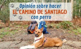 albergues del camino de santiago para mascotas cuales y donde