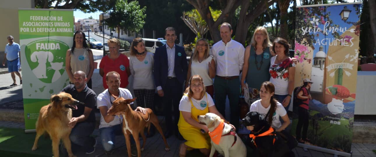 albergues educativos proteccion y cuidado de los animales