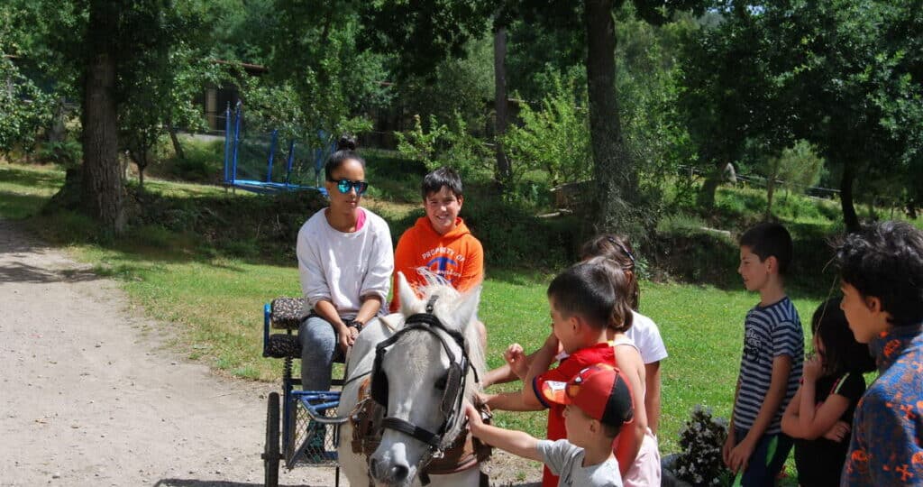 albergues educativos una experiencia unica con animales