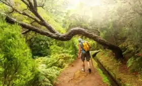caminatas epicas cuantos kilometros puedes recorrer en un dia