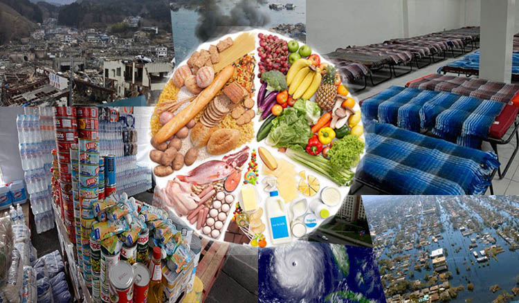 como es la alimentacion en los albergues