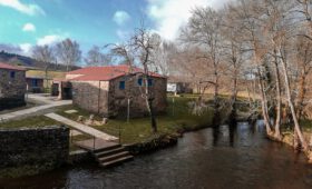 comparativa albergue publico vs privado cual elegir