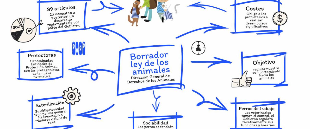consejos para ayudar en un albergue de animales de forma positiva