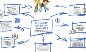 consejos para ayudar en un albergue de animales de forma positiva