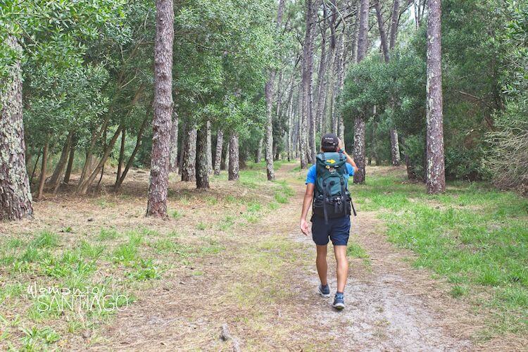descubre el camino de santiago menos urbano y mas natural