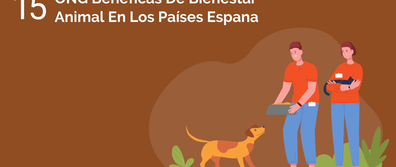descubre los albergues que brindan ayuda a los animales necesitados