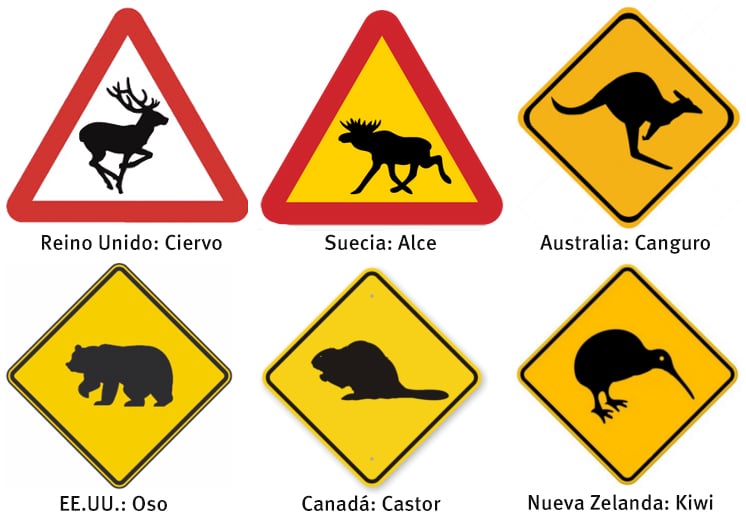 diferencias en senales de trafico en distintos paises cuales son