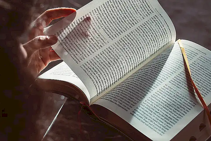 Ejemplos prácticos y estudios de casos