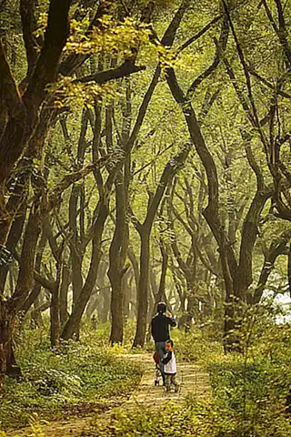 El entorno natural como fuente de inspiración para los artistas
