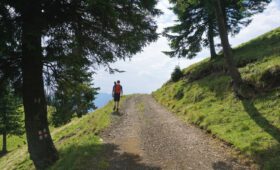 el origen del camino de santiago una ruta transformadora