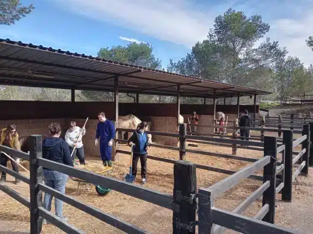 el romanguer