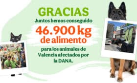 encuentra lugares para donar y ayudar a los animales en necesidad