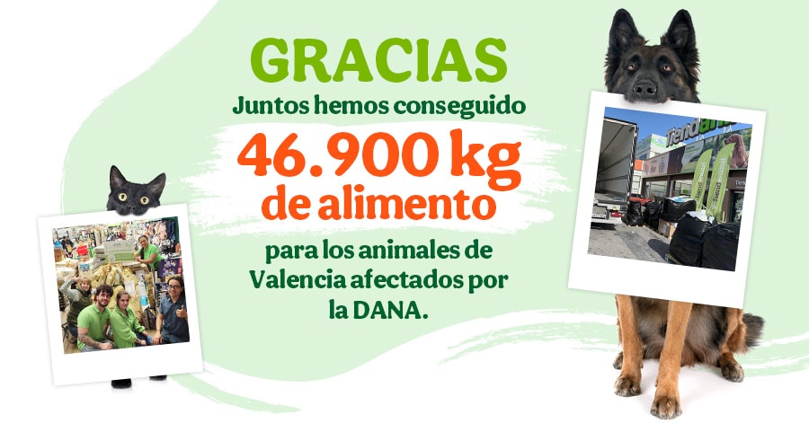 encuentra lugares para donar y ayudar a los animales en necesidad