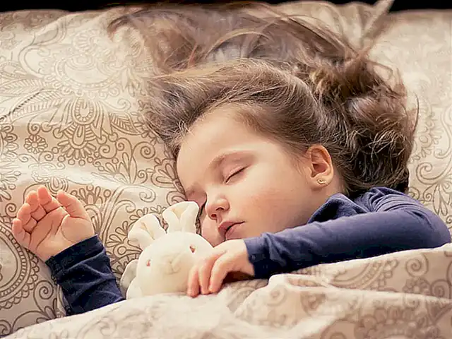 ¿Es necesario llevar saco de dormir?