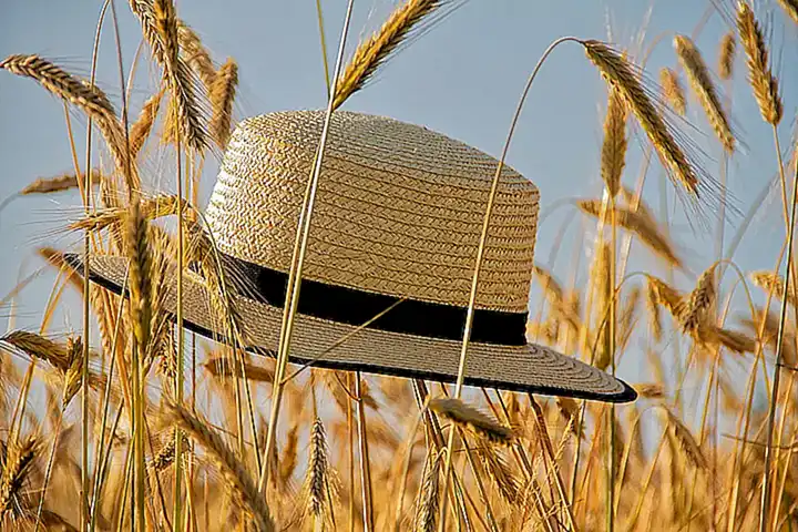Gorra o sombrero