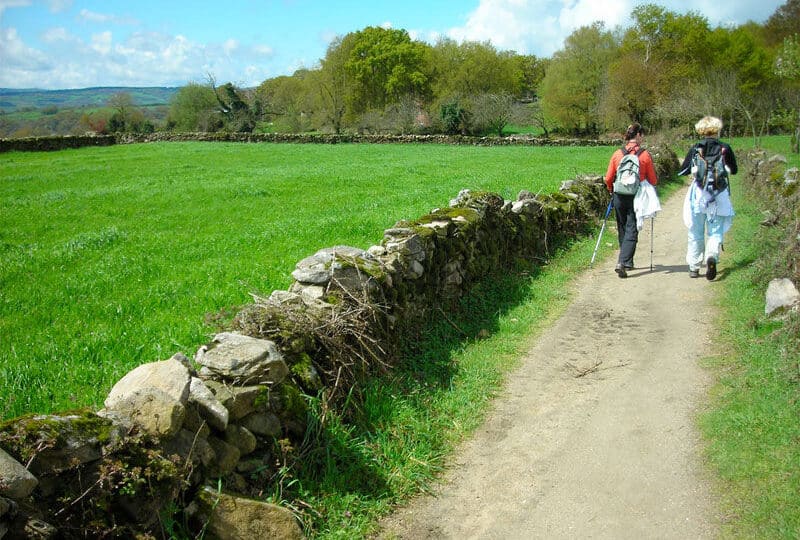 influencia del entorno natural en el arte del camino de santiago
