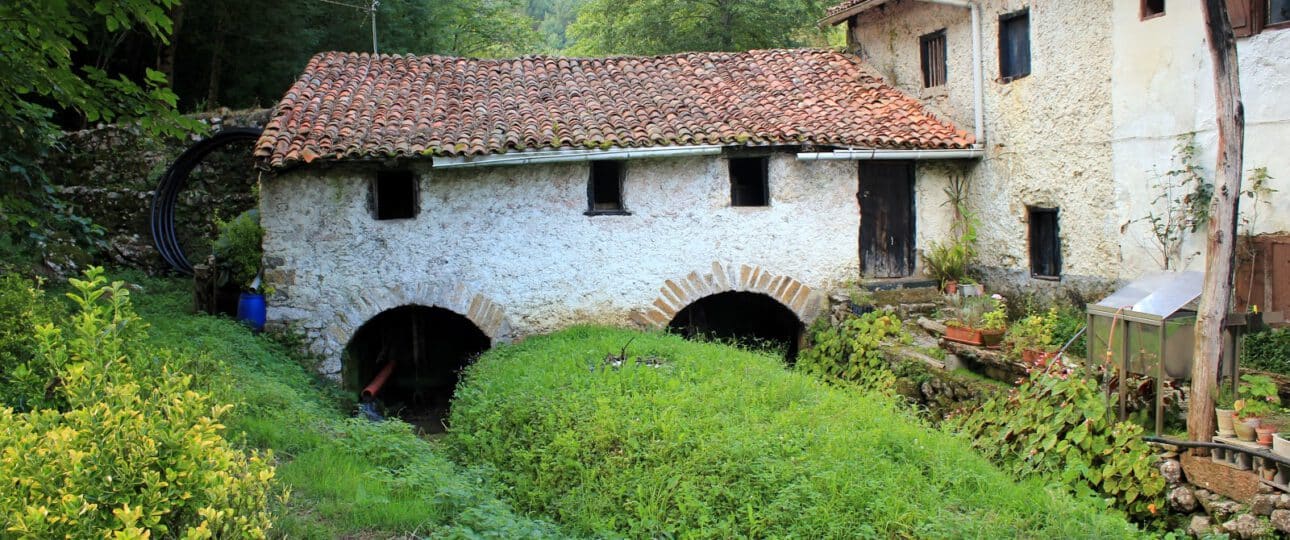 jaunsolo molino