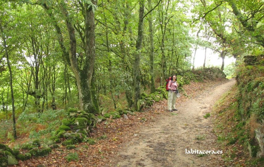 la fascinante historia del primer albergue del camino de santiago