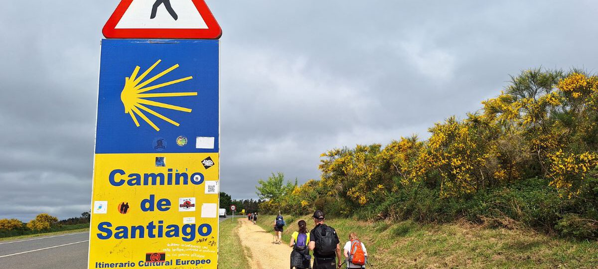 normativa albergues camino santiago descubre lo esencial y necesario