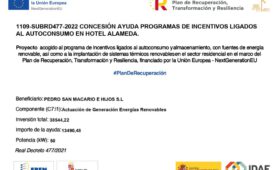 pedro san macario e hijos s l