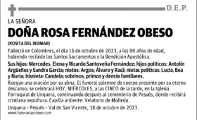 rosa fernandez obeso